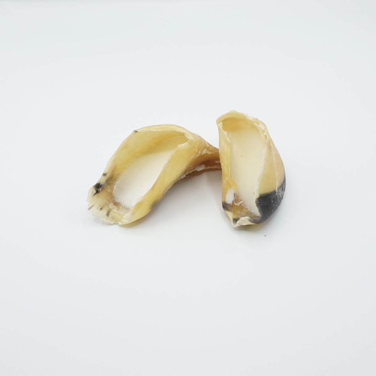 Runderhoeven met Schapenvet | omdoos 8 stuks