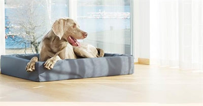 Bia Bed Hondenmand Original Grijs – BIA-6 100X80X15 CM - foto 2