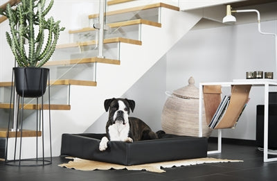 Bia Bed Hondenmand Orthopedisch Zwart – BIA-6 100X80X15 CM - foto 4