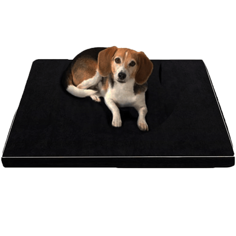 Luxorest Orthopedisch Memory Foam Hondenbed – Grote & Oudere Honden
