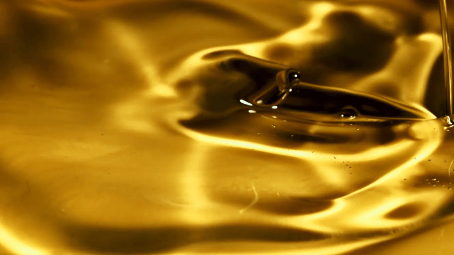 Omega 3 Olie voor Honden – Huid, Vacht & Gewrichtsondersteuning (Grote Rassen)