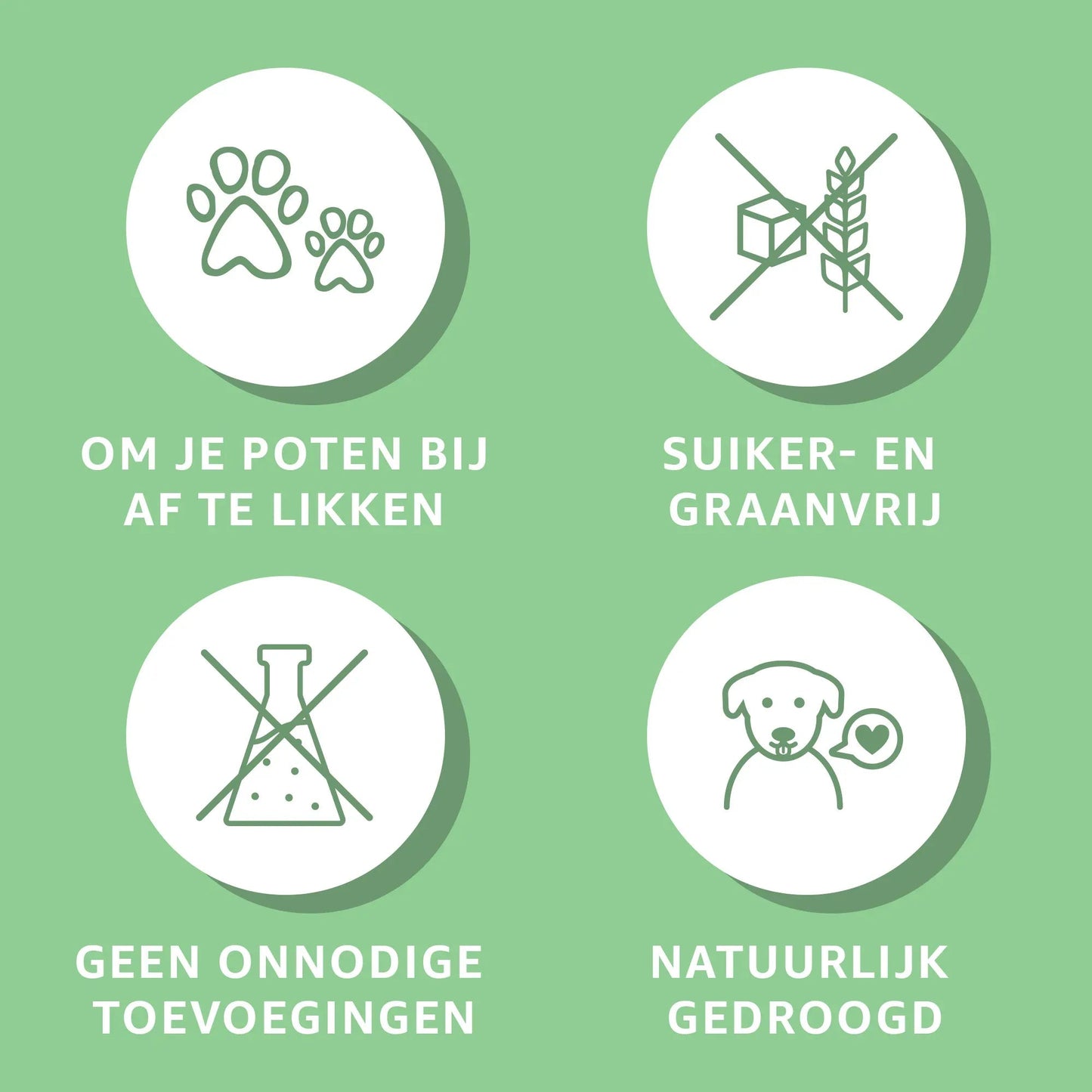 Paardenhuid-4