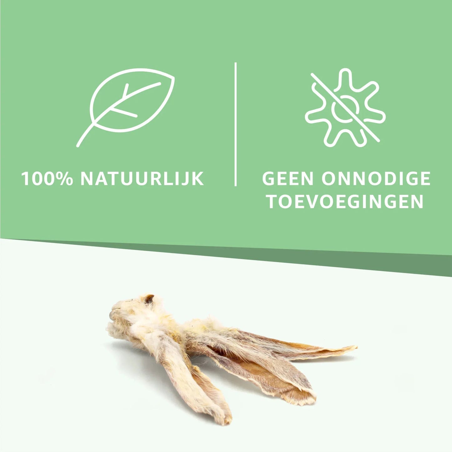 Konijnenoren met vacht-1
