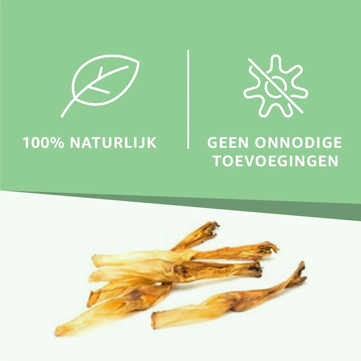 Konijnenoren zonder haar-1