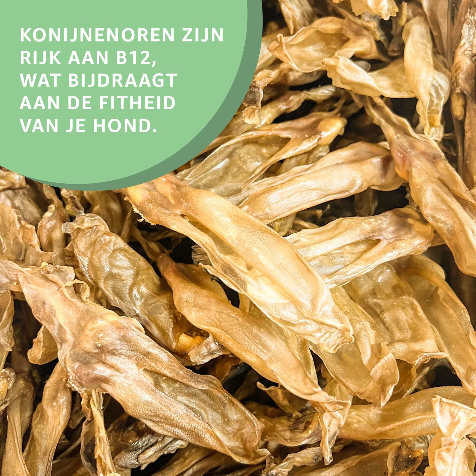 Konijnenoren zonder haar-3