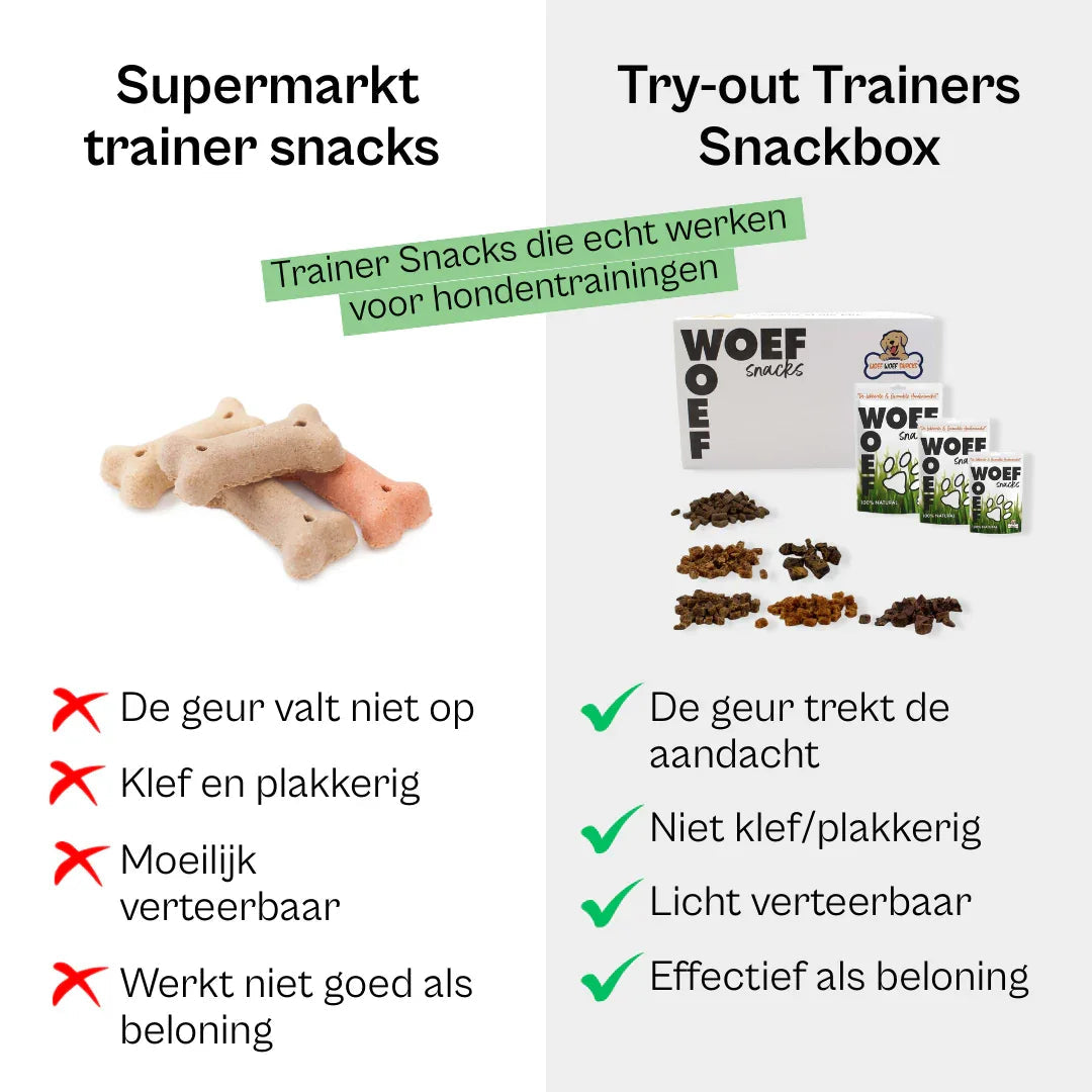 Trainers Snackbox-2