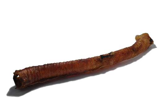 Beef trachea long 1 piece