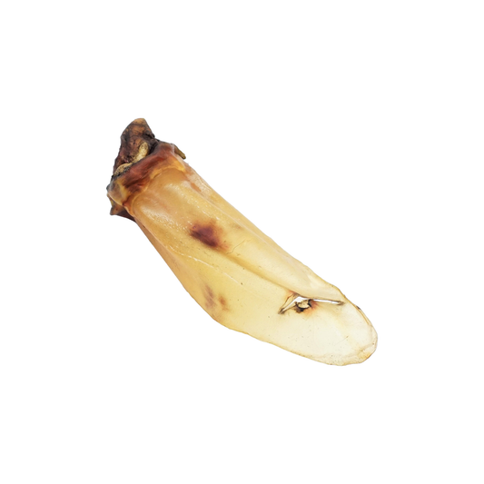 Runderoor met vlees (BULK) | omdoos 100 stuks